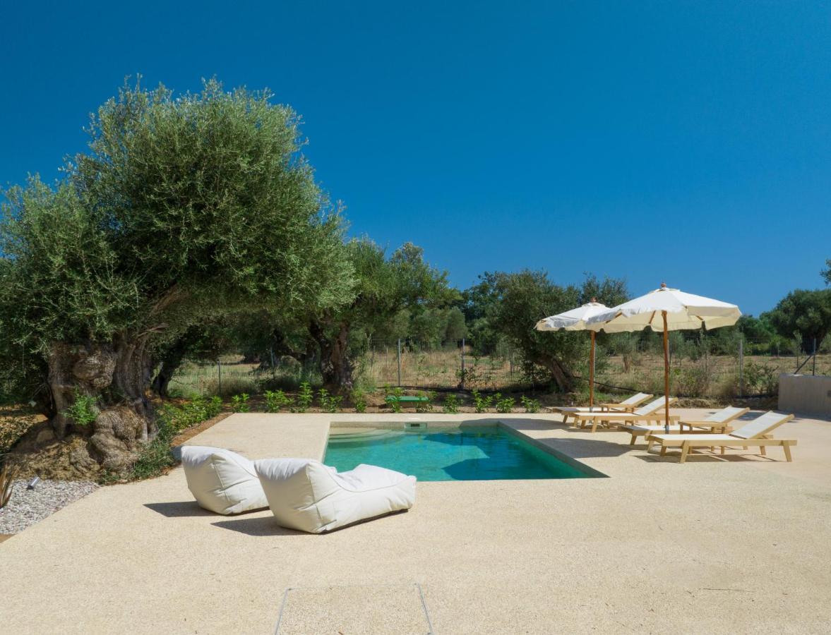 Terra Oleana Cottages วาซิลิคอส ภายนอก รูปภาพ